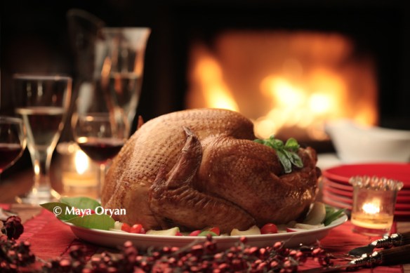 Christmas Turkey - MayaOryan