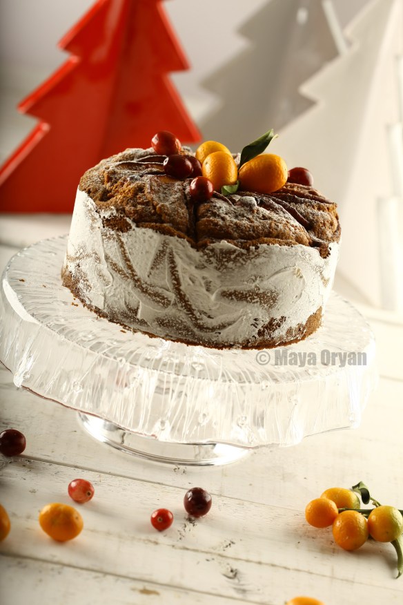 APPLE CRANBERRY CAKE